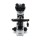 Мікроскоп Optika B-382PLi-ALC 40x-1600x Bino Infinity Autolight (921428) + 5